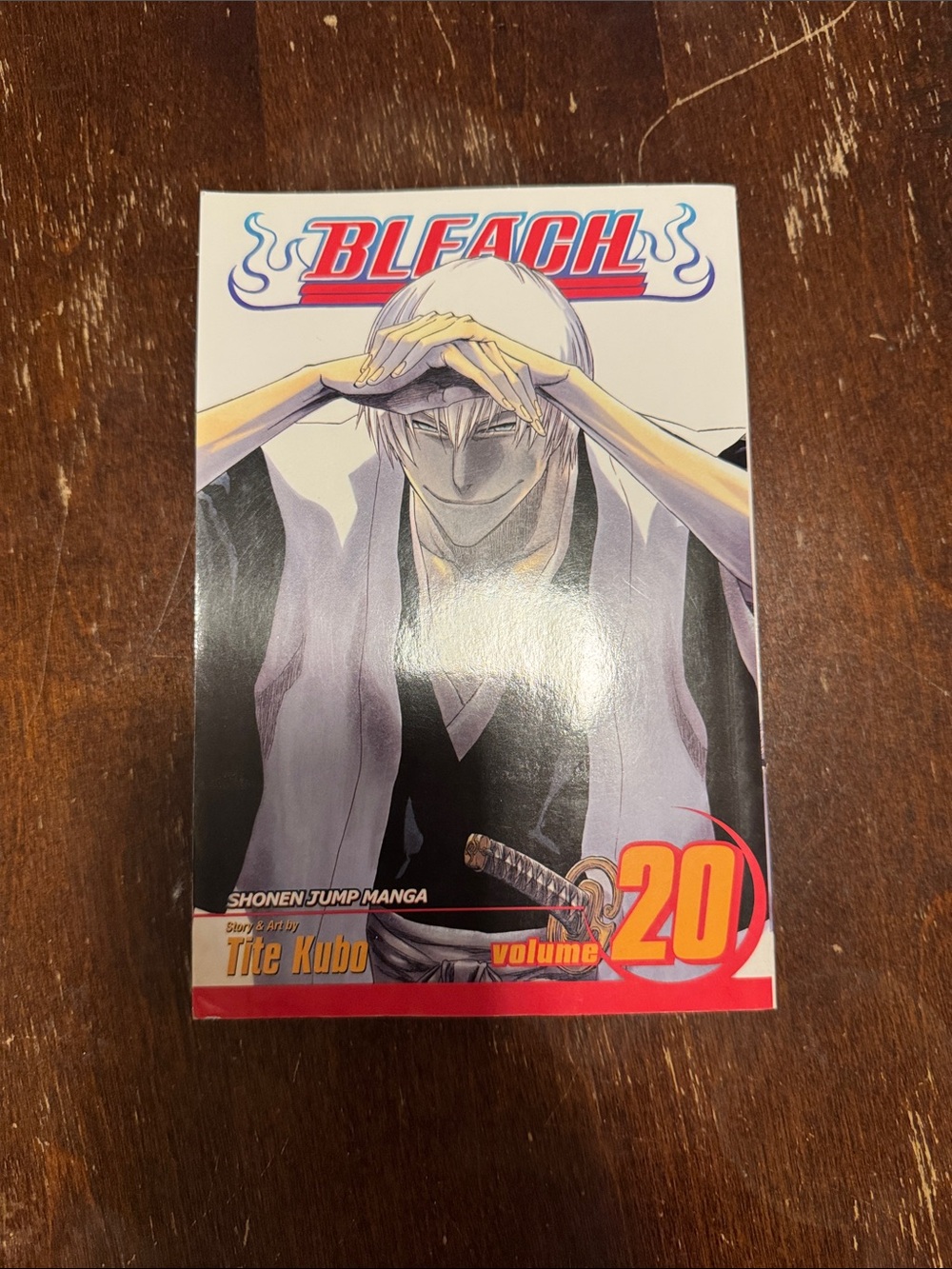 Bleach Volume 20 Manga — Paperback